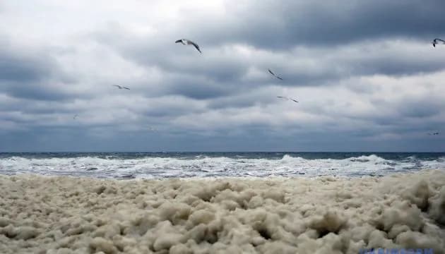 В Черном и Азовском морях - без вражеских кораблей