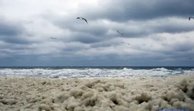 В Черном и Азовском морях российских кораблей нет - Генштаб