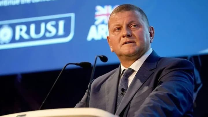 Zaluzhny has received a new diplomatic position - Presidential decree