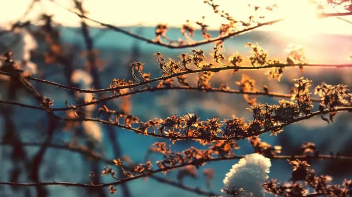 Spring warming in Ukraine: forecasters told where it will be most comfortable on Wednesday