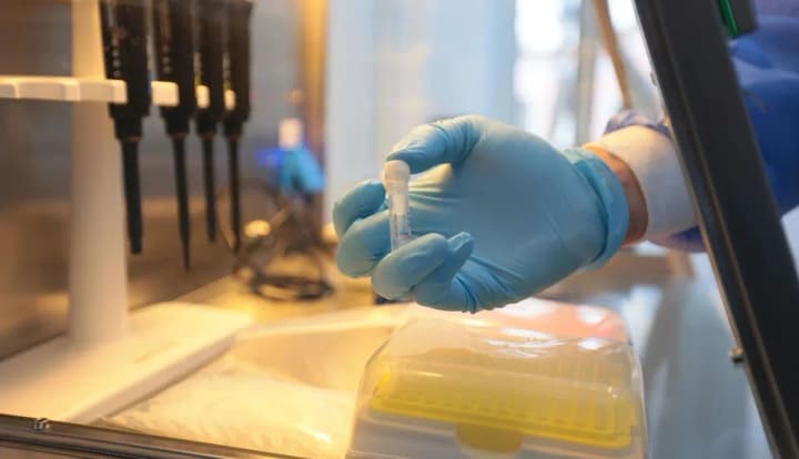 Military and civilians: there are about 16 thousand DNA profiles of unidentified bodies in the registry