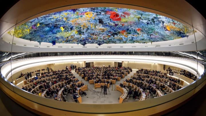 The USA halts funding for UN project in Ukraine - OHCHR
