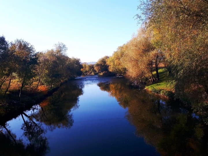 In Zakarpattia region a "yellow" level of danger has been declared due to rising water levels in the river