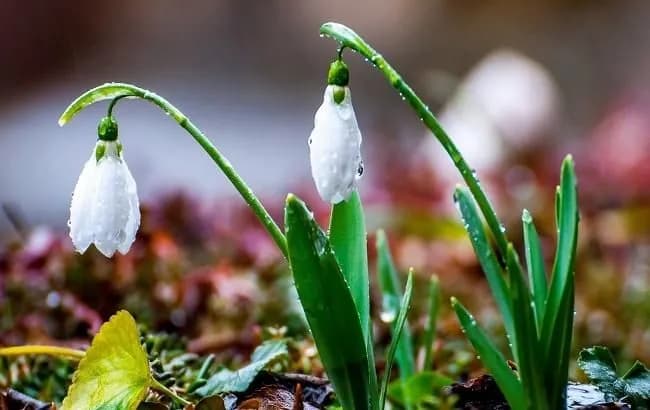 On March 15, Ukraine will be covered by cloudiness with rains: where it will be sunny