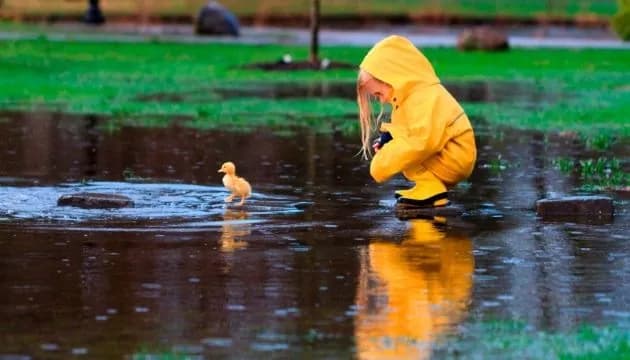 Weather on March 16: changeable spring weather prevails in Ukraine again