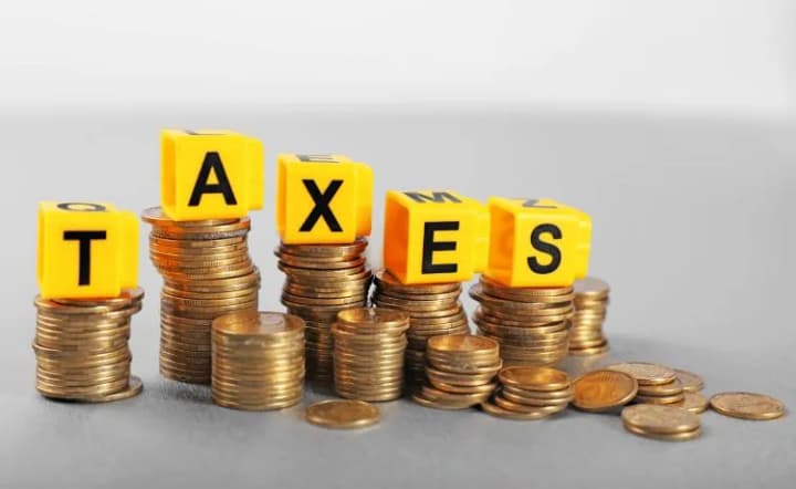 The State Tax Service told which industries paid the most taxes to the budget of Ukraine