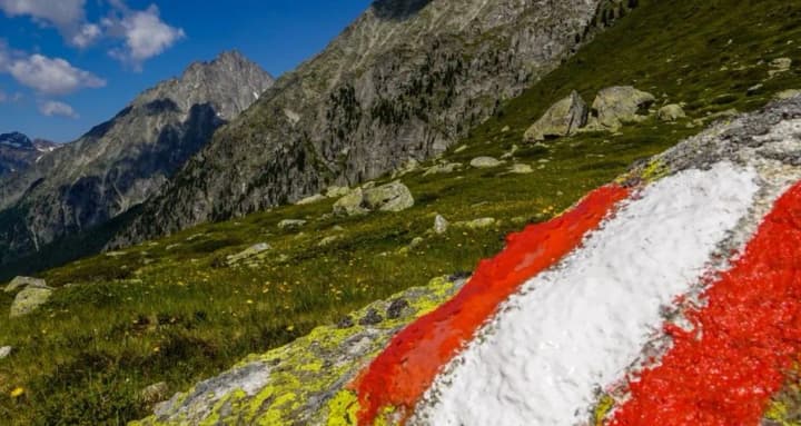 НАТО посилює співпрацю з нейтральною Австрією
