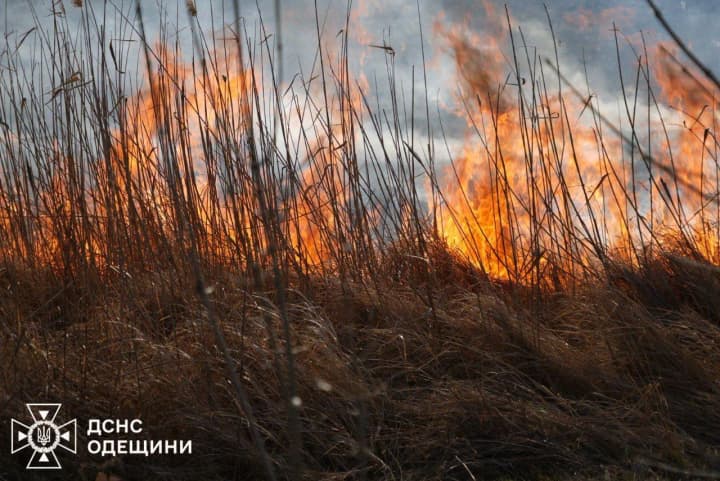 Rescuers are extinguishing a large-scale fire in the open area in Odesa region
