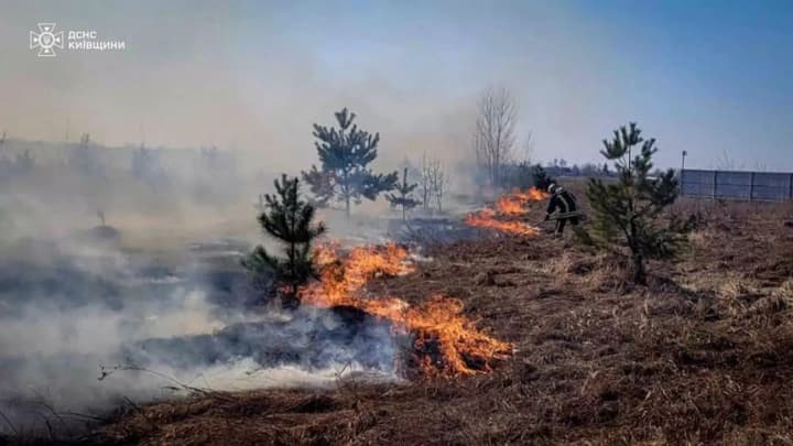 Випалювання сухостою під Києвом: вогнеборці врятували трьох дітей