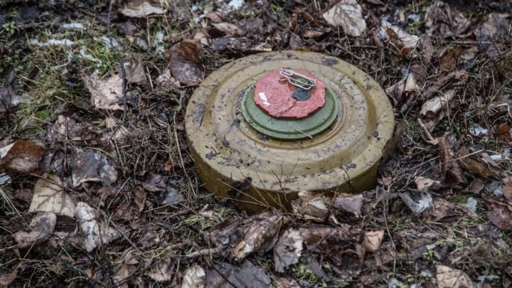 Finland wants to withdraw from the convention banning anti-personnel mines