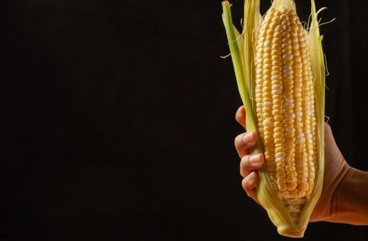 Українська кукурудза може виграти від мит США - Reuters