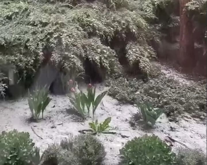 Odesa region covered in snow: video