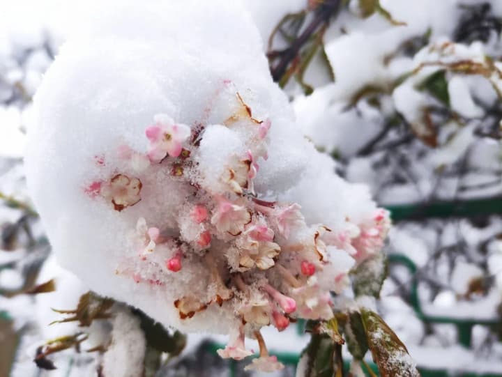 Зима не відступає: невтішний прогноз погоди на 10 квітня