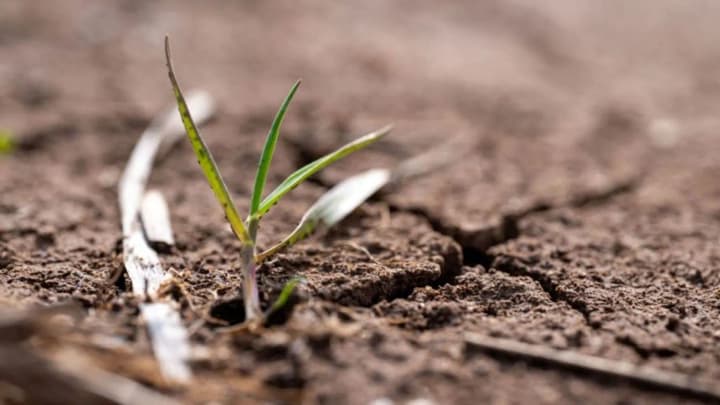 EU institutions reached an agreement on the first ever law on soil: what it entails