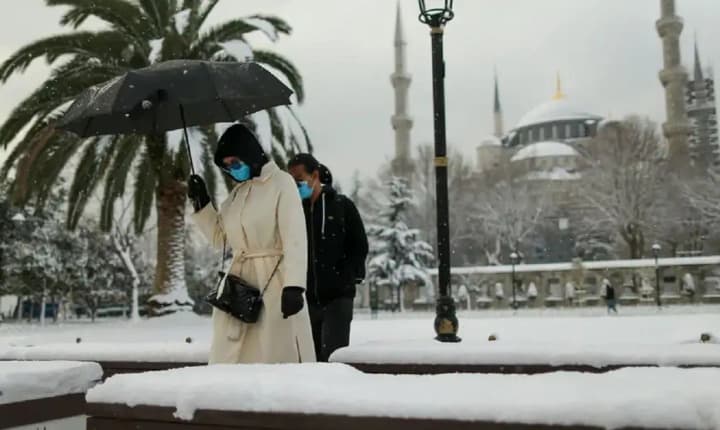 В Турции сильнейшие морозы с 2014 года повредили посевы