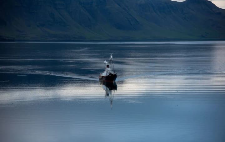 В Исландии отменен сезон охоты на китов из-за экономической ситуации