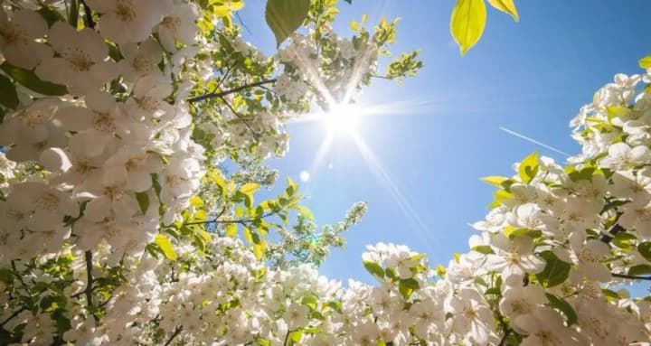 Очікується теплий початок тижня: прогноз погоди в Україні на 14 квітня