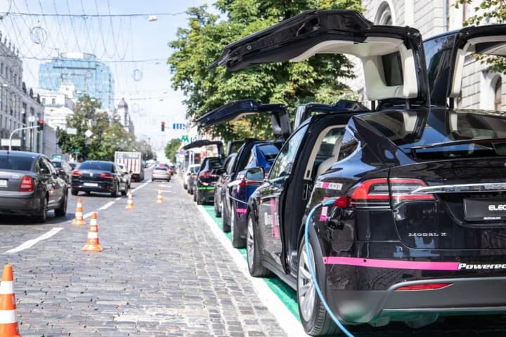 Українці почали активніше купувати гібриди: які марки обирають