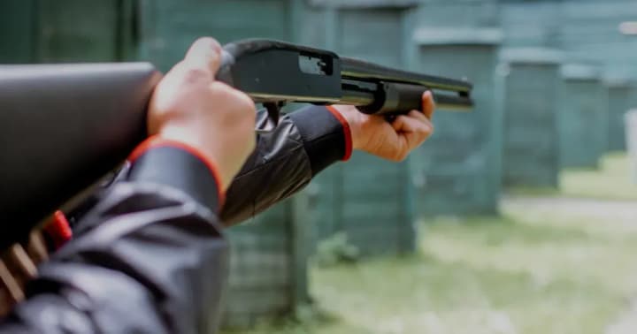 In Brovary, reports are emerging of teenagers shooting animals with airguns: police have launched an investigation.
