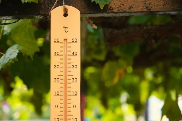 2024 was the warmest year in Europe's history - C3S and WMO report