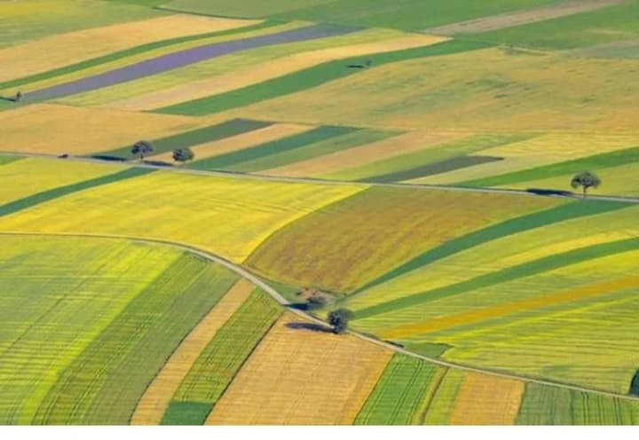 У Раді проти передачі землі НААН до Фонду держмайна, бо це призведе до підриву продовольчої і економічної безпеки