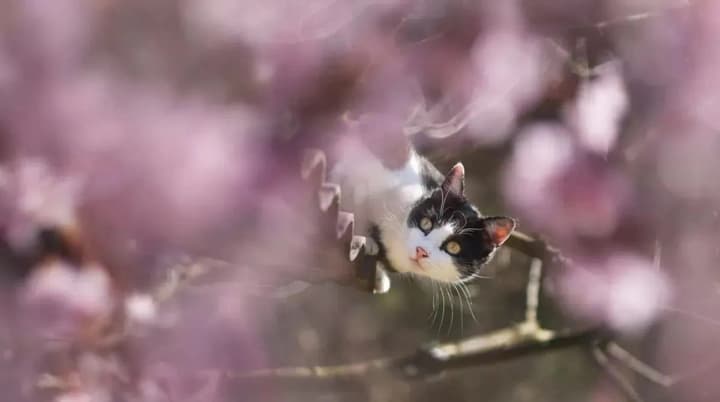 Warmth and thunderstorms: what will the weather be like in Ukraine today