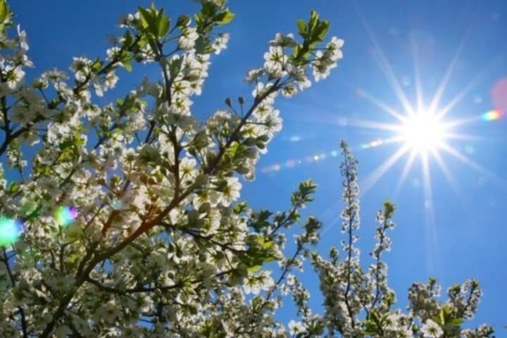 В Україні 23 квітня очікується до +26°C: де пройдуть короткочасні дощі