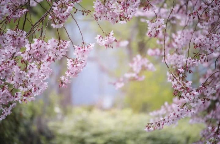 The last hot day: what will the weather be like in Ukraine on April 25