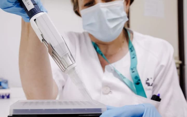 Выявили новый штам оспы обезьян: первые случаи заболевания уже зарегистрировали в Европе