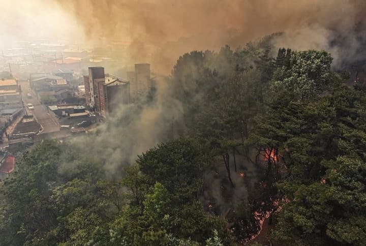 У Південній Кореї масштабна лісова пожежа, евакуйовано 1200 людей