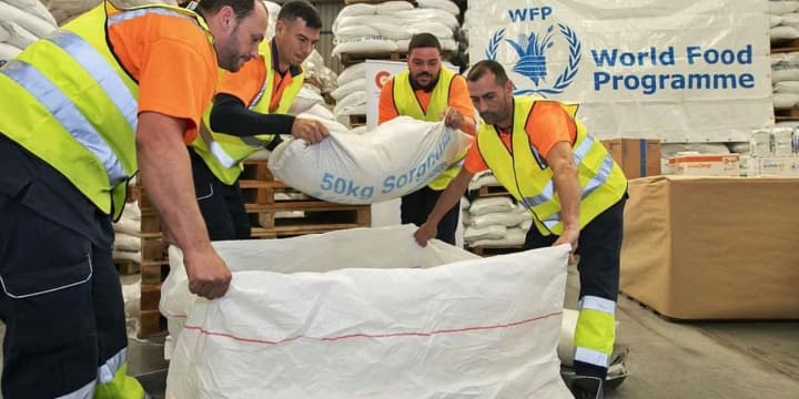 Due to lack of funds, the UN is forced to reduce the staff of the World Food Program by up to 30%