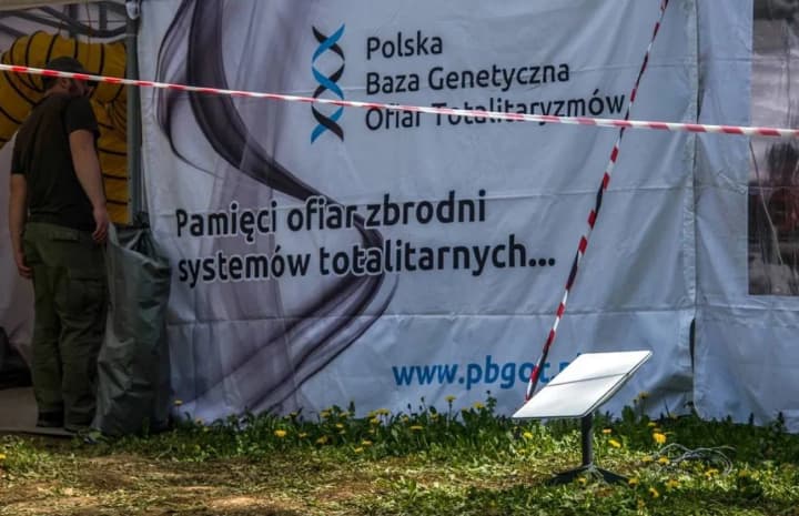 Exhumation of victims of the Volyn tragedy: remains of more than 30 people discovered in the Ternopil region