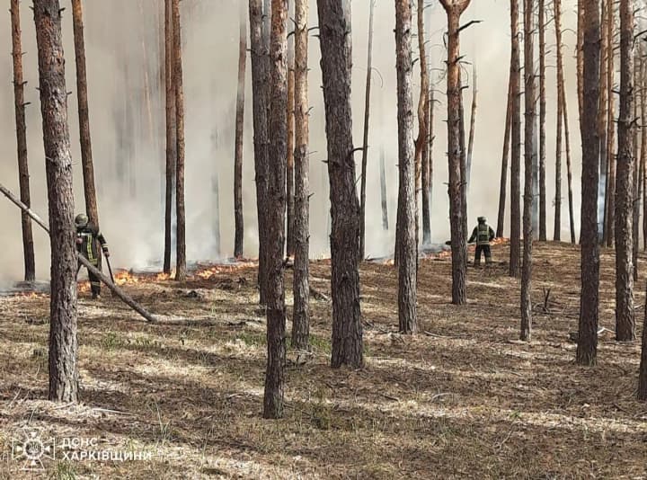 На Харківщині спалахнули лісові пожежі через атаки рф