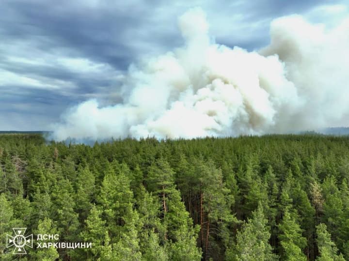 Лісові пожежі на Харківщині після ударів рф: детонують боєприпаси, готується евакуація місцевих жителів