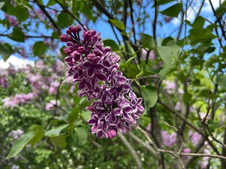 Fresh and with periodic rains: what will the weather be like in Ukraine this week