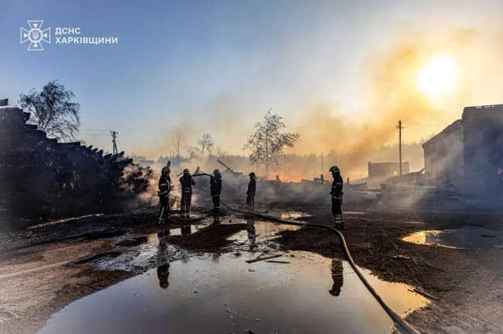 Large-scale forest fire in Kharkiv region was localized after enemy shelling - RMA