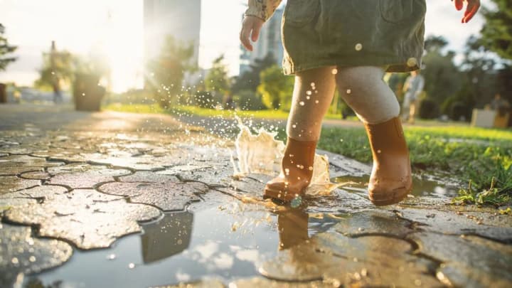 Ukraine will be hit by heavy rains with thunderstorms: weather forecast for today