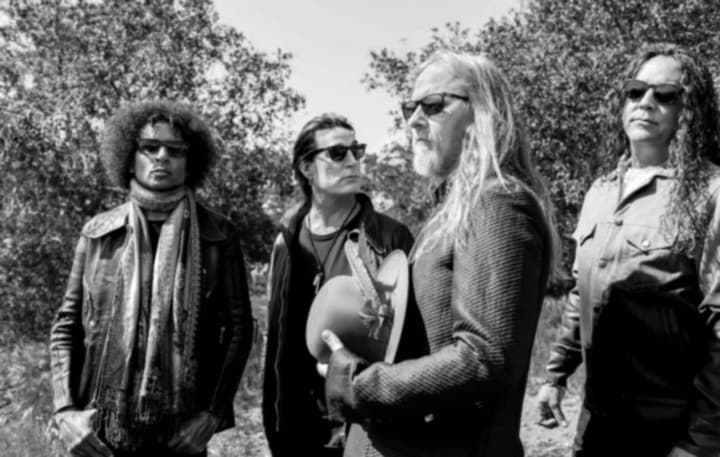 Alice In Chains cancels US concert: what happened