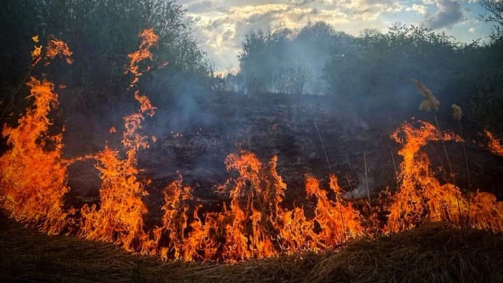 In Kyiv, the Sovsky Ponds are on fire: the fire has engulfed 800 square meters

