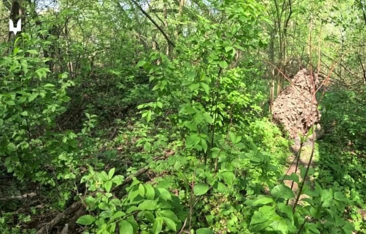 В тылу врага уничтожена штурмовая группа противника: ССО сообщили о маневре во время разведки