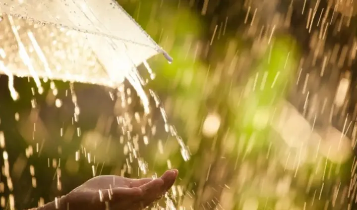 The peak of spring cold in Ukraine: rain and stormy winds expected on May 15