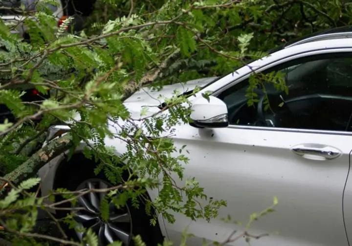 Прогноз погоды на 15 мая: в Украине порывы ветра и осадки