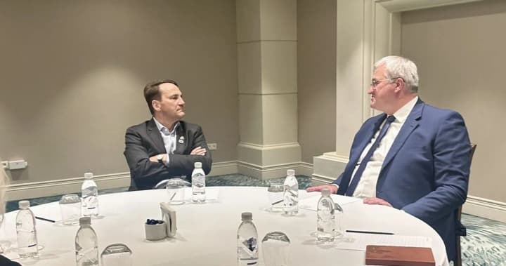 Sybiga met with Sikorski in Turkey: what was discussed