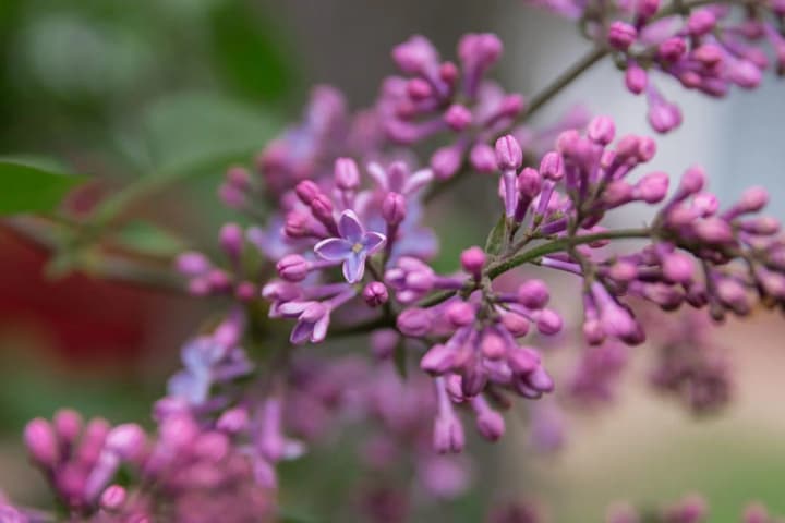 May is "starting to descend into summer", but the rains do not want to recede yet - forecaster