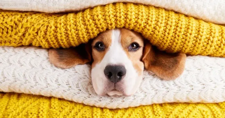 Autumn May: today weather forecasters predict unstable and cold weather