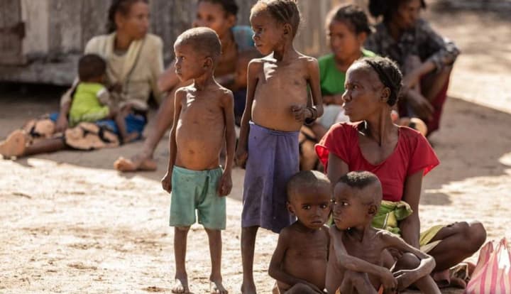 Almost 300 million people were starving last year - report