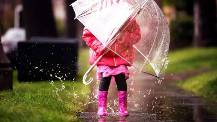 Tomorrow in Ukraine, storm gusts of wind and thunderstorms are expected