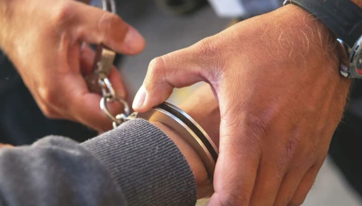 Забила на смерть їжачиху з її дітьми посеред вулиці: у Чернігові правоохоронці шукають причетну