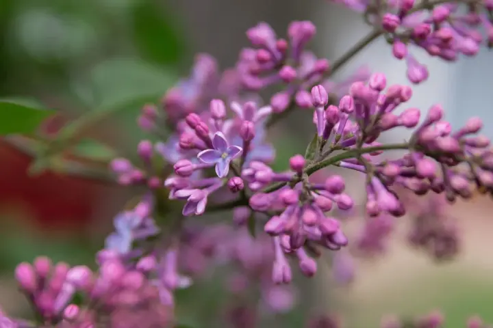 Warmth has arrived, but a rainy atmospheric front is expected in the west - weatherman