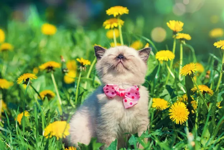 One of the warmest days of the week: weather forecasters announced the weather for May 23